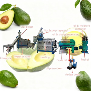 Ligne de production complète d'huile d'avocat, du fruit à la bouteille, comprend le pressage et le raffinage, huile d'avocat à haut rendement, extracteur d'huile - Product Image 4