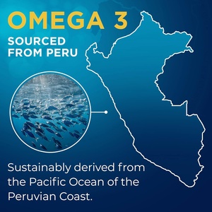 Lans Hersensupplement Private Label Omega 3 Visolie Puur Natuurlijk Ondersteunt Hart Normale Bloeddruk Visolie Omega 3 - Product Image 6
