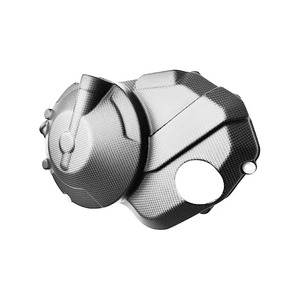 Holesale Ouuststustom ototorcycle ararbon BER Iber caucati anianigale 4 Engine over - Product Image 4