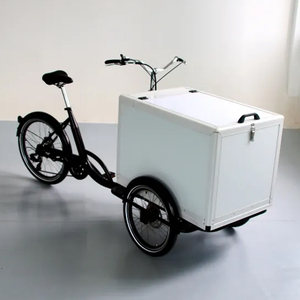 Trike néerlandais boîte avant e-bike JG Gastro café vélo jus de fruits vente tricycle bière vélo 3 roues électrique cargo vélo livraison rapide - Product Image 5