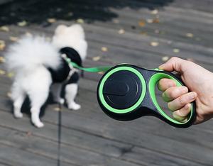 Grosir tali anjing Aksesori hewan peliharaan padat 5M tali traksi tali hewan peliharaan membawa tali yang dapat ditarik - Product Image 6