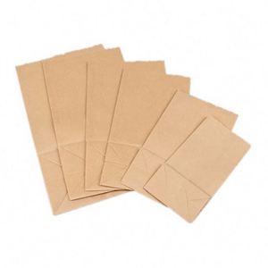 Ventes chaudes - Sacs en papier biodégradables pour épicerie - Pack promotionnel - Product Image 4