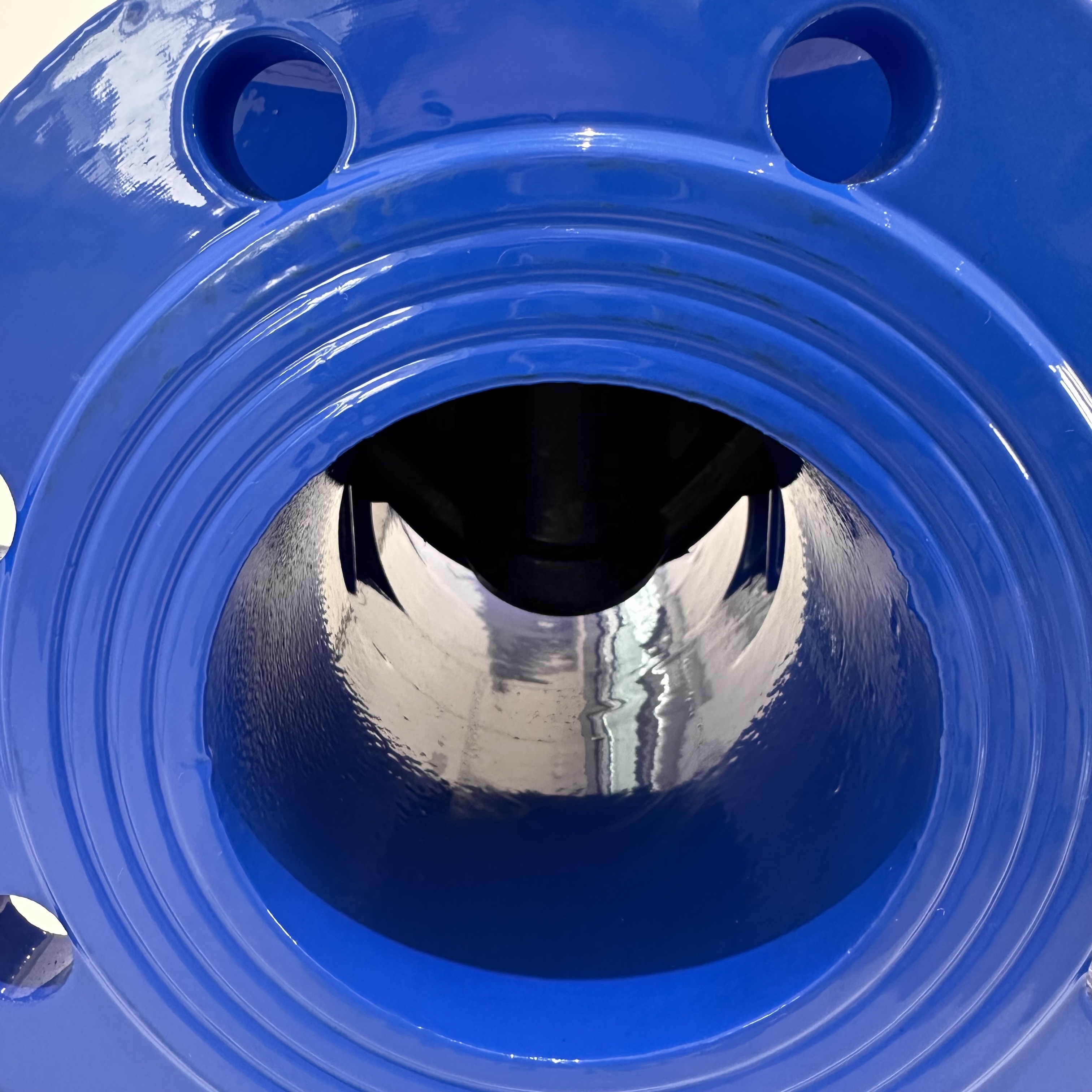 Gate Valve 50 mm Dia