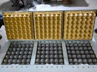 Machine de fabrication de barquettes à œufs pour petites entreprises, prix d'usine, machine de fabrication de barquettes à œufs, ligne de production de barquettes à fruits, machine à barquettes à œufs