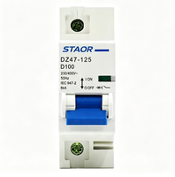 Disjoncteur MCB 100A AC 400V Type D DZ47-125 10kA 1P 2P 3P 4P Rail DIN Protection Moteur Compresseur IP20 PA66 CE
