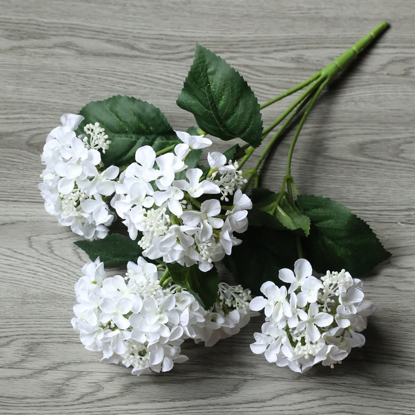 Blanc aux fruits