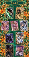 Cartes à collectionner en gros – Nouveauté en direct : Anime Pirate Board