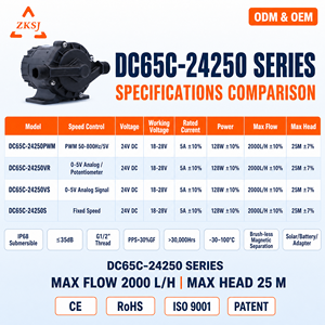 Pompe à eau à entraînement magnétique 24V DC sur mesure pour usine, 2,0 m³/h, hauteur de refoulement 25m, alimentée par panneau solaire pour fontaine - Product Image 2