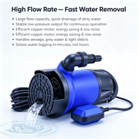 Pompe submersible portable 230V pour eaux usées avec interrupteur à flotteur automatique, personnalisable OEM, en plastique, pour eaux boueuses, pour sous-sol et jardin