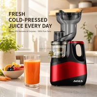 Extracteur de jus lent domestique avec goulotte d'alimentation large de 130 mm, moteur DC 250W, rendement élevé de 75% en jus, couvercle en maille d'acier inoxydable, facile à nettoyer