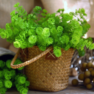 โรงงานขายส่งโดยตรง ต้นไม้จำลอง กระถางดอกไม้ประดับตกแต่ง หญ้าพลาสติกแบบเสียบ สำหรับเทศกาลอีสเตอร์และปีใหม่ - Product Image 6