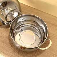 Marmite extra-épaisse pour soupe, bouillie, nouilles et lait, compatible induction et gaz, 24 cm, design moderne avec couvercles