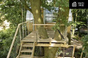 बच्चों के लिए बहु-कार्यात्मक आउटडोर मिश्र एल्यूमीनियम ट्रेहाउस पार्क के लिए सुरक्षा चढ़ाई प्ले संरचना 10 लोगों का समर्थन करता है - Product Image 3