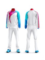 Collection de vêtements d'équipe multisports personnalisés : Maillot de football, uniforme de basketball, maillot de badminton, survêtement à fermeture éclair intégrale – Vente en gros OEM