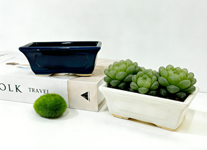 Planteurs <span class=keywords><strong>de</strong></span> bonsaï <span class=keywords><strong>de</strong></span> style chinois en gros - Pots en céramique longs et brillants pour la décoration <span class=keywords><strong>de</strong></span> bonsaï <span class=keywords><strong>de</strong></span> jardin intérieur et extérieur - Product Image 3