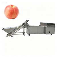 Fruit- en groenteverwerkingsmachine 4,2 kW automatische snijmachine met PLC-besturing, hoge capaciteit, nieuw voor voedselverwerking