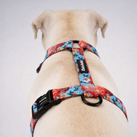 Harnais pour animaux de compagnie OEM personnalisé, réfléchissant, à dégagement rapide, en sangle de nylon de 2 cm, anti-traction, pour chiots et chats, pour l'extérieur