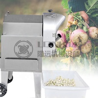 Industriële Restaurant Food Shop Automatische Multi Functionele Fruit Groente Snijmachine