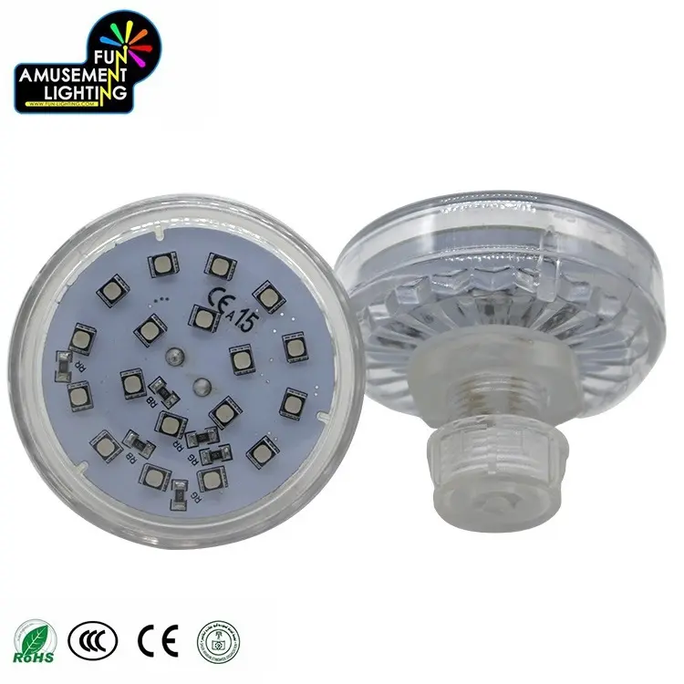 Hot Sale Waterproof 60mm AC24V RGB SMD3535 LED Amusement Light Program