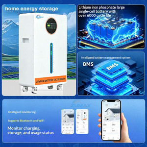 10 Yıl Depolama Sistemi 10kW Lityum Pil Güç Duvarı 51,2 V 48V 100Ah 200Ah 300Ah Solar LiFePO4 - Product Image 1