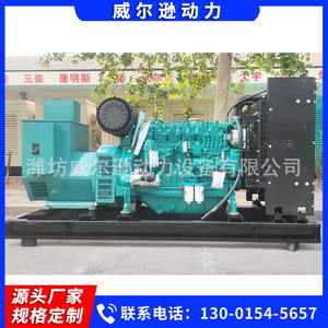 Groupe électrogène diesel Weichai 150 kW 400 V 50 Hz pour travaux d'ingénierie et aquaculture - Product Image 5