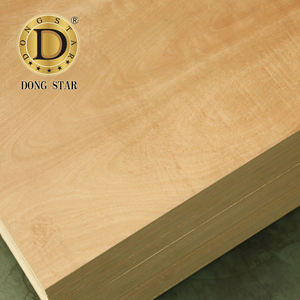 Para contrachapado <span class=keywords><strong>Okumen</strong></span> ecológico certificado, 1220x2440mm, 3-25mm, fabricación de armarios, superficie lisa resistente al agua para muebles - Product Image 6