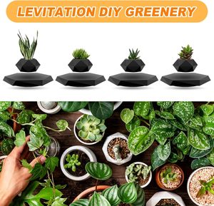 Mag Pot à plantes en lévitation Support flottant <span class=keywords><strong>pour</strong></span> plantes succulentes Petites plantes <span class=keywords><strong>pour</strong></span> la maison Salon <span class=keywords><strong>Bureau</strong></span> <span class=keywords><strong>Bureau</strong></span> - Product Image 6