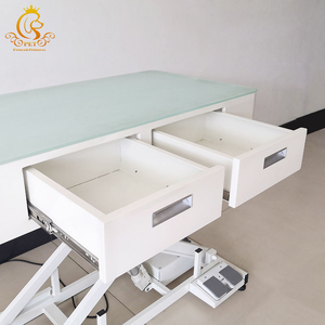 Mesa <span class=keywords><strong>DE</strong></span> ASEO veterinaria eléctrica EUR PET para mascotas, mesa <span class=keywords><strong>de</strong></span> peluquería para perros, características <span class=keywords><strong>de</strong></span> limpieza para herramientas <span class=keywords><strong>de</strong></span> aseo para mascotas - Product Image 6