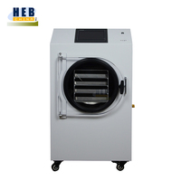 Lyophilisateur à vide compact HFD-4 pour usage domestique, avec moteur électrique, pour la transformation alimentaire et les fruits