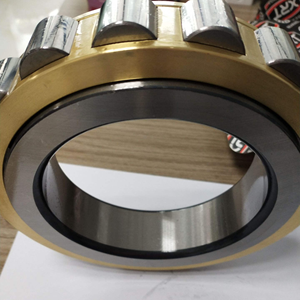 Roulements à rouleaux cylindriques excentriques RN307 RN307M RN307E RN307EM pour convoyeurs et machines industrielles lourdes - Product Image 5