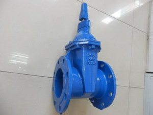 วาล์วประตูน้ำเหล็กดัด BS5163 - Product Image 5