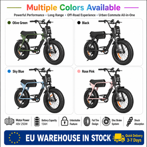 Europa Lokallager Gratis Hauslieferung 250W 48V hydraulische Bremsen Federgabel Retro eBike Fat Tire Elektro Mountainbike - Product Image 4