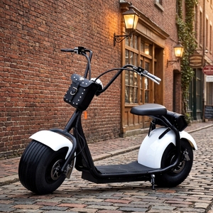 Scooter para Adultos con Asiento, Motor Dual de 1500w/2000w, Batería de Litio de 20ah, Neumático Ancho para Desplazamientos, Y10, Batería de Alta Calidad de 20ah - Product Image 1
