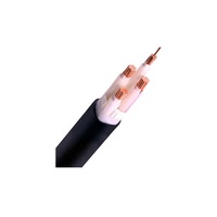Cable de Minería Industrial de Cobre y PVC con Clasificación IP67, Cable Subterráneo para Carbón de 0.6/1kV 4-70mm 1000m CPE/Neopreno 1.5-240mm2 16-300mm2