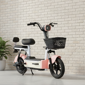 Vélo électrique à <span class=keywords><strong>prix</strong></span> bas, vente chaude internationale - Deux places, moteur sans balais, pour la revente - Product Image 5