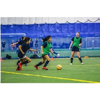 Grande salle de sport gonflable de structure de dôme d'air de terrain de football pour le terrain de football