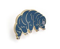 Nouvelles Broches Amusantes en Forme d'Arctogryphes (Ours Aquatiques) – Vente en Gros, Fabrication Artisanale en Métal, Badges Personnalisés en Émail