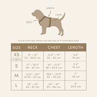 Harnais pour chien en néoprène de luxe, robuste, réglable, design personnalisé pour teckel avec broderie
