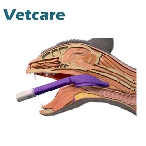 Профессиональный ветеринарный инструмент трахеальной интубации для кошек - Product Image 3