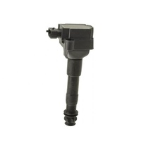 High Quality Auto Spare Parts Engine Systems Ignition Coils OEM 99660210400 for Porsche