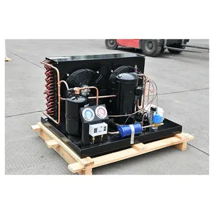 Factory Supply Commercial Refrigeration Condensing Unit