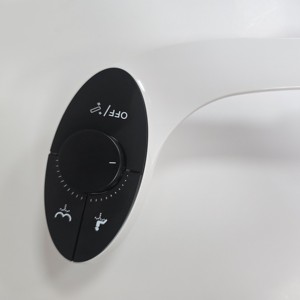 OEM/ODM современные <span class=keywords><strong>ABS</strong></span> механические биде холодной воды двойные насадки для задней/передней стирки биде насадки для ванной комнаты неэлектрические - Product Image 4
