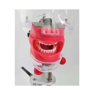 Tête de mannequin dentaire avec masque facial pour la pratique et l'apprentissage - Product Image 3
