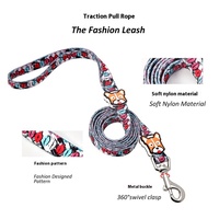 Usine directe luxe mode fournitures pour animaux de compagnie en alliage solide Nylon collier de chien laisse impression motif Animal pour petits chiens de taille moyenne