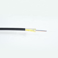 Proveedor de Cable de caída redonda precio barato 1000m rollo FTTH FRP cable de fibra óptica GJFJH cables de fibra de ignífugos
