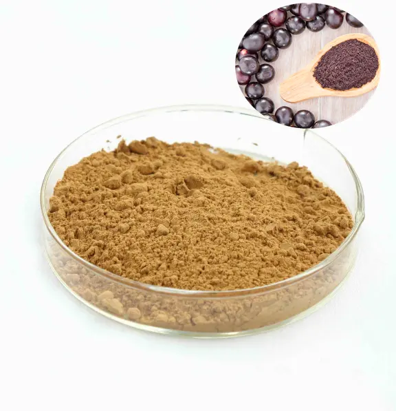 Polvere di Fuir fresca di bacche di Acai naturale miglior prezzo estratto di bacche di Acai liofilizzato 10-1