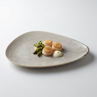 Plats de service en porcelaine japonaise de haute qualité, irréguliers, réactifs, gris, émaillés, et assiettes à sushi en céramique pour restaurant