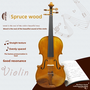 Violon d'étude CHENTUO CT5.1, table en bois massif, dos et éclisses en érable, touche en ébène, archet, fabriqué à la main dans le Liaoning - Product Image 2