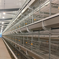 Poulailler industriel entièrement automatique et économique de type H pour poules pondeuses, cage à poules pondeuses de grande capacité