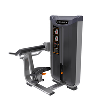 Équipement de conditionnement physique de Gymnase Commercial Biceps Machine D'exercice